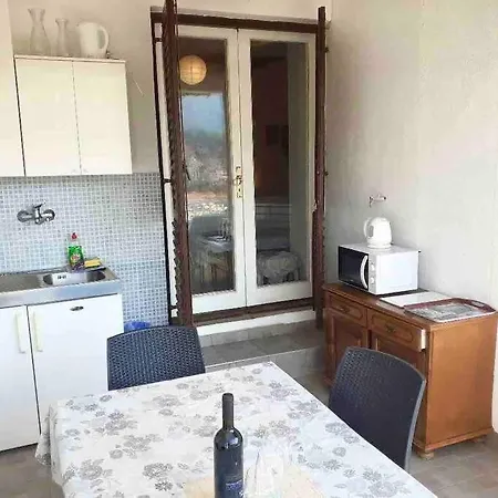 Damir Nadallina 젤사